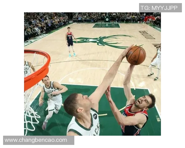 布鲁克洛佩斯：从内线巨兽到全能球员的华丽转身与职业生涯回顾